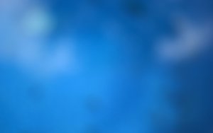 收益分析